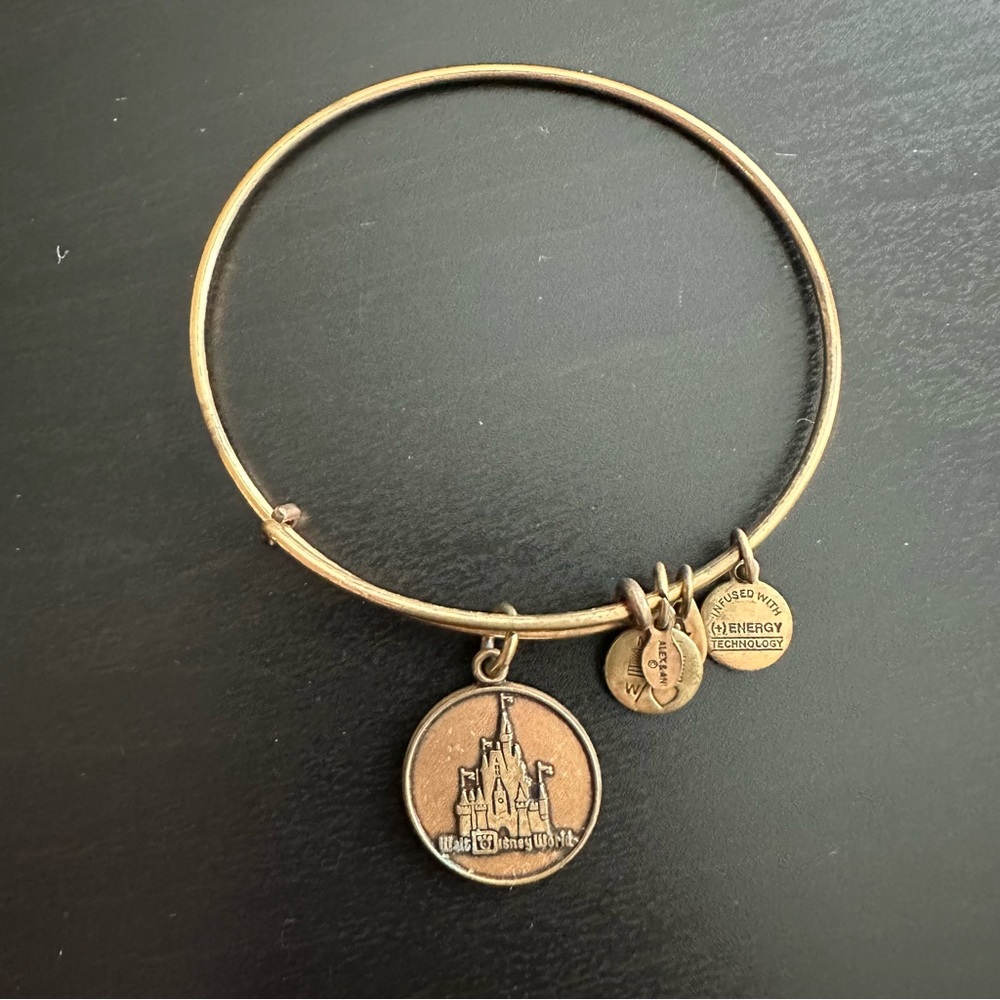 ✨Host Pick ✨ Gold Walt Disney World Alex and Ani